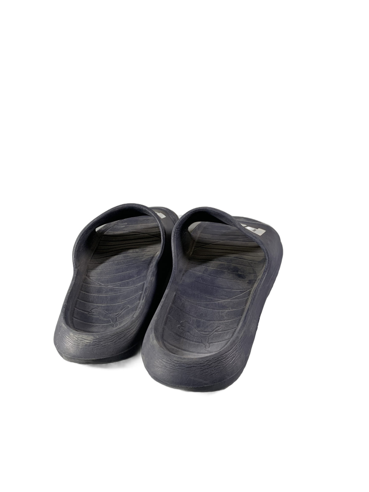 Puma Divecat v2 Lite Slide in black