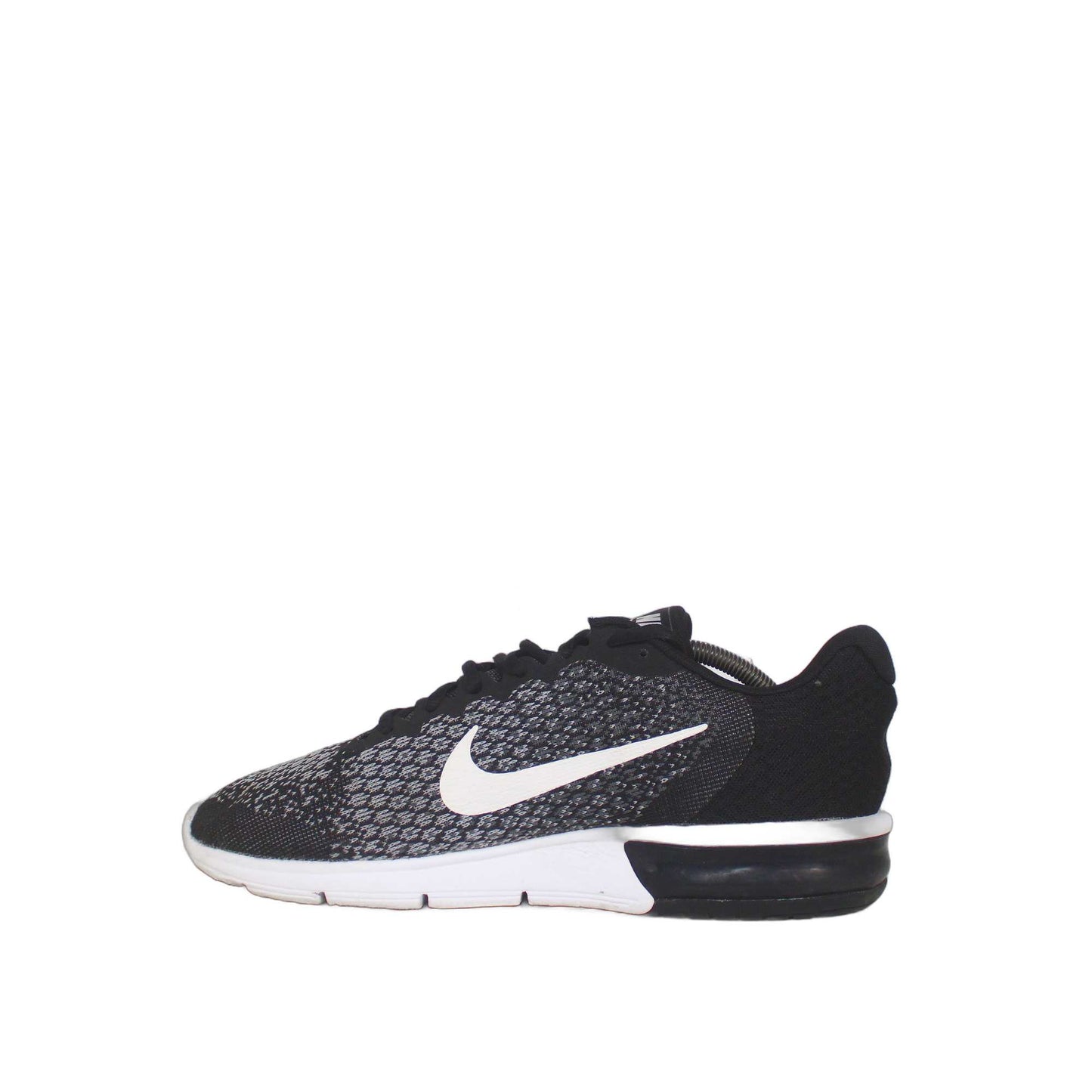 Nike Air Max Sneaker
