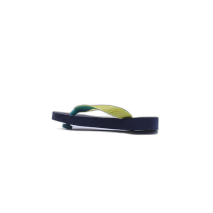 Havaianas Blue Slide