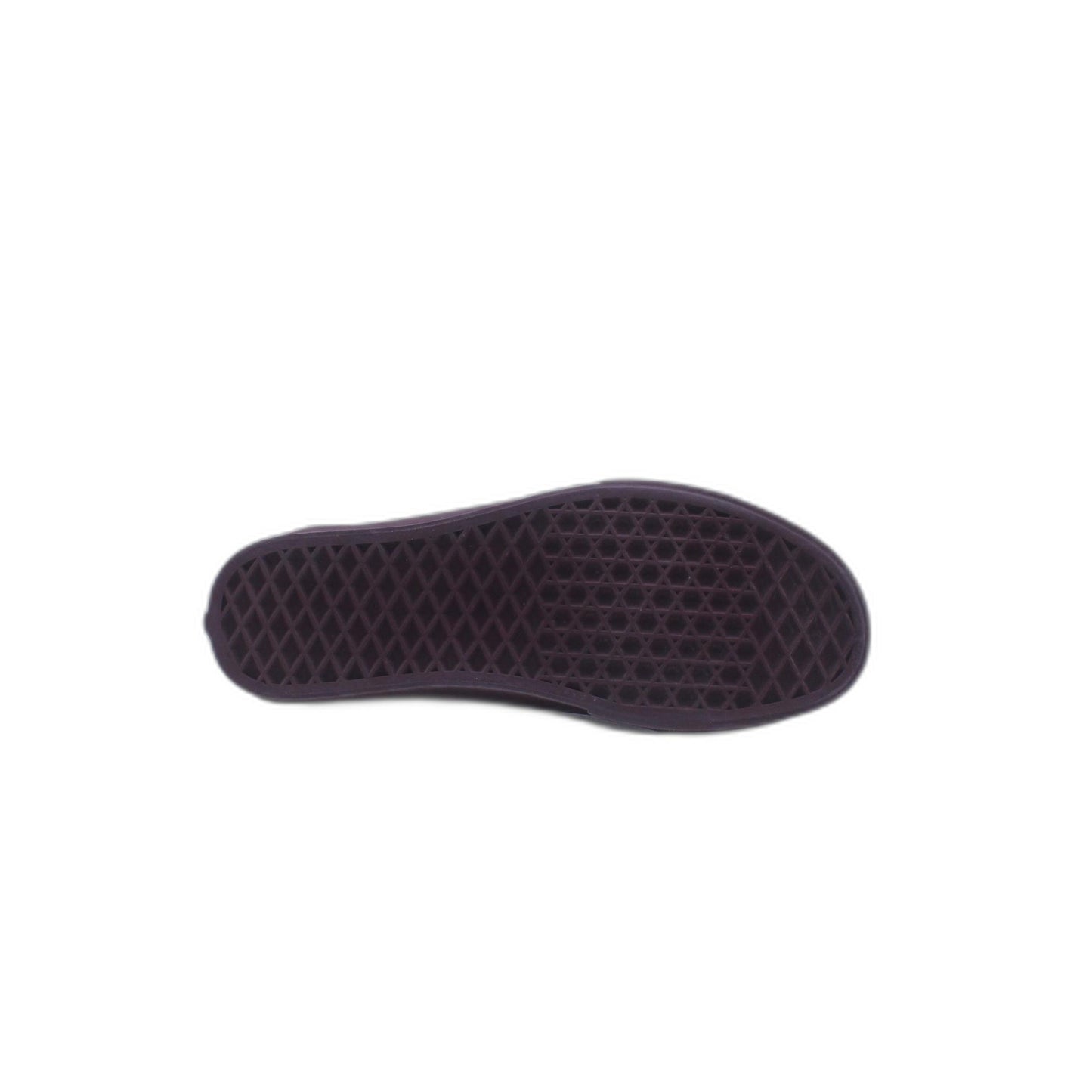 Vans  Canvas & Leather Skateboarding Shoes