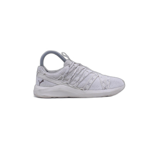 PUMA Amplifier Glacial Grey W Sneaker